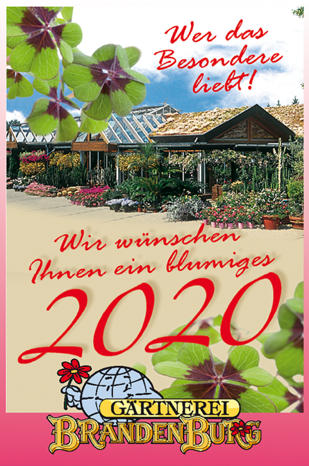 Frohes Neues 2020