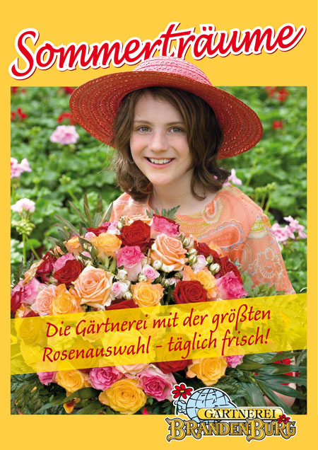 Sommerrosen_